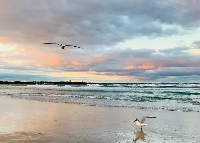 Strandstern 沙博伊茨